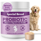 Special Breed dog probiotics powder tub front highlighting premium blend for digestive health and immune support.