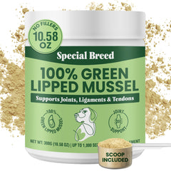 Special Breed Green Lipped Mussel Powder bottle closeup boosts joint comfort and mobility
