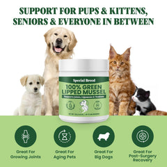 Special Breed Green Lipped Mussel Powder dog-serving scene demonstrates easy mixing into kibble.