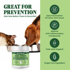 Special Breed Green Lipped Mussel Powder dog serving showcases easy daily mixing for active pets