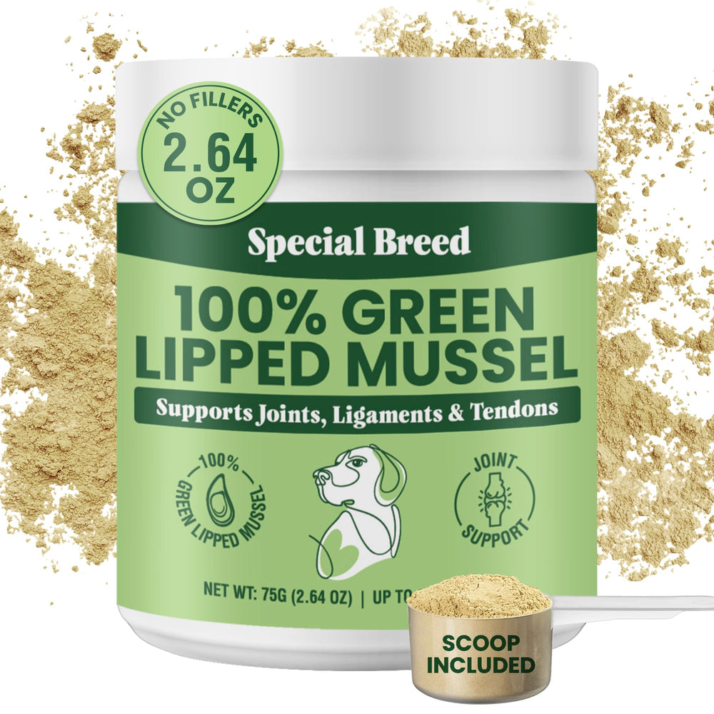 Special Breed Green Lipped Mussel Powder tub supports daily joint comfort for dogs and cats.