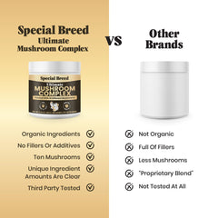 Special Breed mushroom powder mixed with cat food for cognition and vitality.