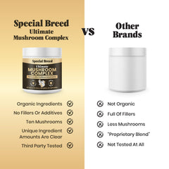 Special Breed powder added to cat food for convenient daily nutrition