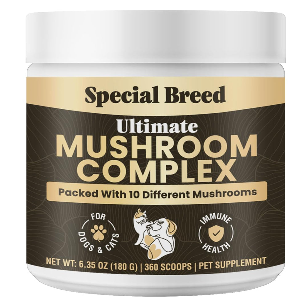 Special Breed mushroom powder bottle label emphasizes organic 10-mushroom blend for pets.