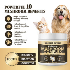 Special Breed mushroom powder scoop demonstrates convenient daily dosage for dogs and cats.