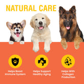 Special Breed Vitamina C para perros: dosis diaria simple para apoyo.
