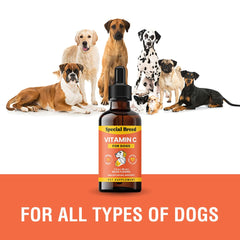 Special Breed Vitamina C para perros: sabor bacon para facilitar la aceptación.