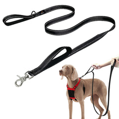 Sporn dual-handle padded leash 6ft outer view demonstrates durable construction for daily walks.
