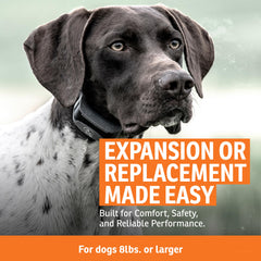 DryTek waterproof collar demonstration up to 25 feet for rugged outdoor hunts.
