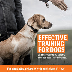 SportDOG FieldTrainer 425X collar receiver—lightweight all-day wear