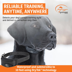 SportDOG NoBark SBC-R waterproof collar outdoors for all-weather training.