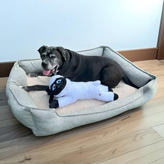 Spot Baa Baa Black Sheep plush toy squeaker inside encourages playful engagement during fetch.