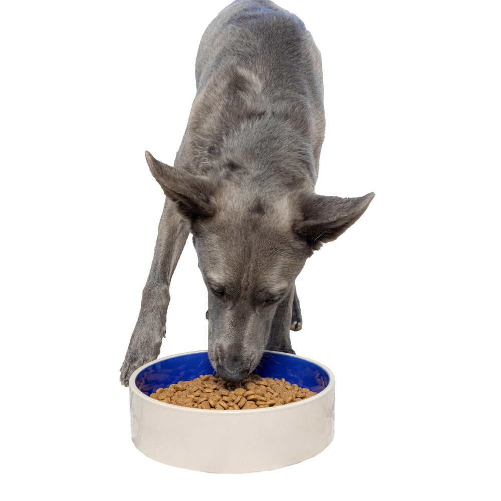SPOT Standard Crock Dish heavy-duty ceramic bowl for spill resistance