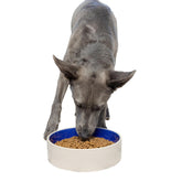 SPOT Standard Crock Dish heavy-duty ceramic bowl for spill resistance