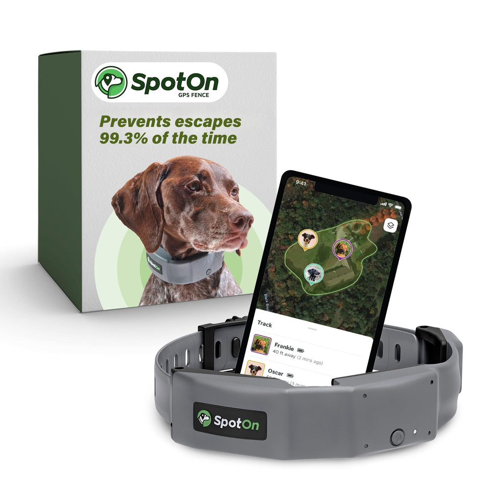 SpotOn GPS collar in hand showing compact design for daily safety