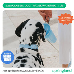 Springer 22oz bottle dog drinking during a walk