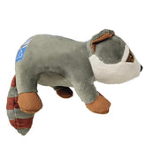 Spunky Pup Clean Earth Raccoon front view shows recycled bottle construction for eco-friendly play.