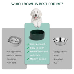 SPUNKYJUNKY bowl close-up shows a stable base preventing spills during meals.