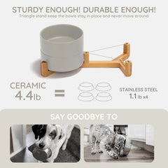 SpunkyJunky double-bowl set supports food and water with elevated arrangement.