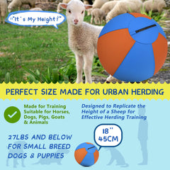 Srotek dog herding ball in motion supports focus during fetch and exercise.