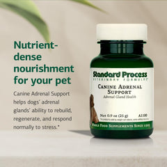 Standard Process Canine Adrenal Support label close-up shows natural ingredients for adrenal health.