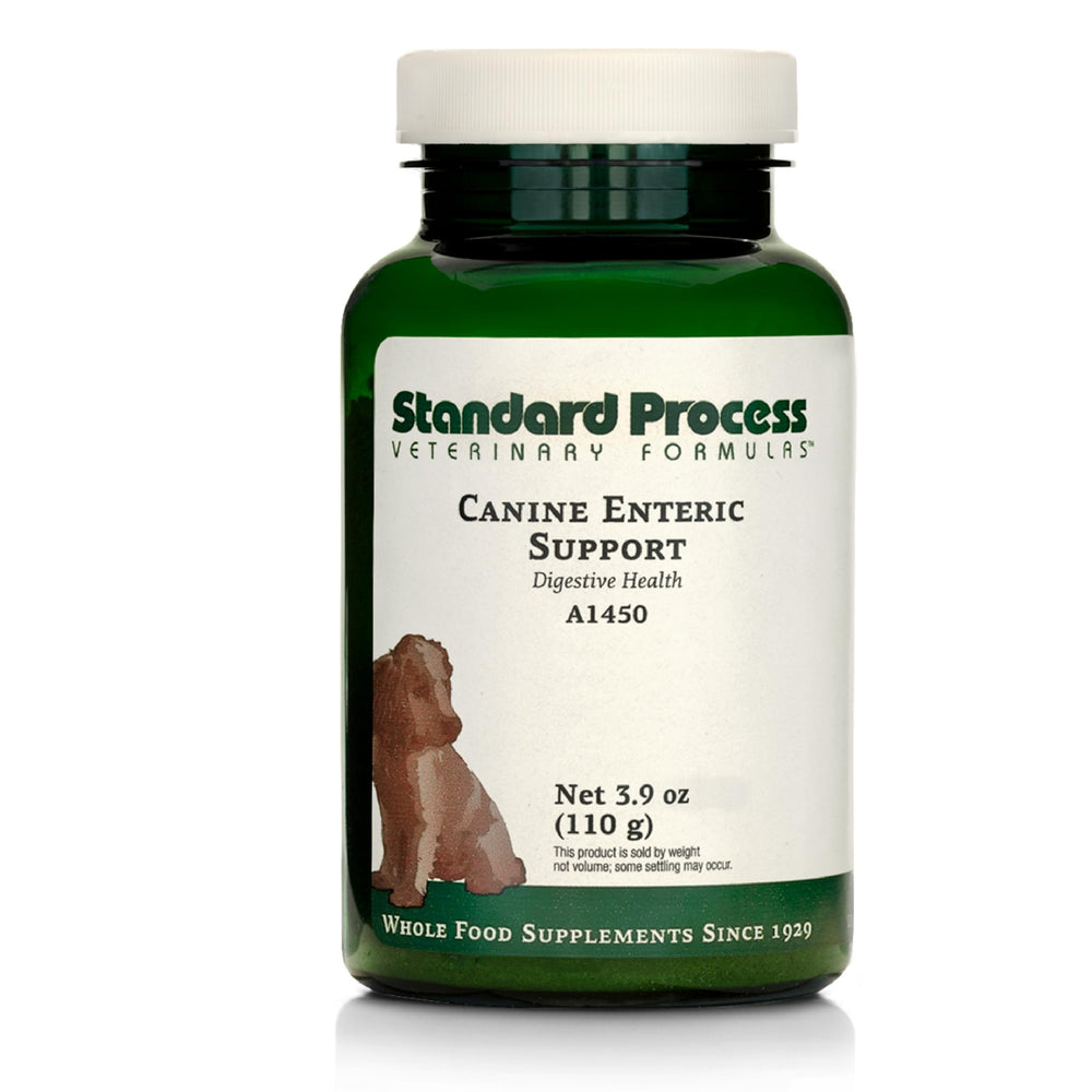 Standard Process Canine Enteric Support bottle with dosing scoop supports healthy digestion.