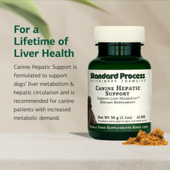 Standard Process Canine Hepatic Support in dog bowl ready for meals, supporting liver functions.