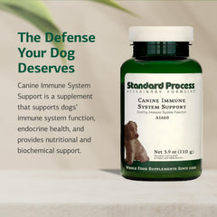 Standard Process Canine Immune System Support powder package shown; whole-food formula supports overall canine health