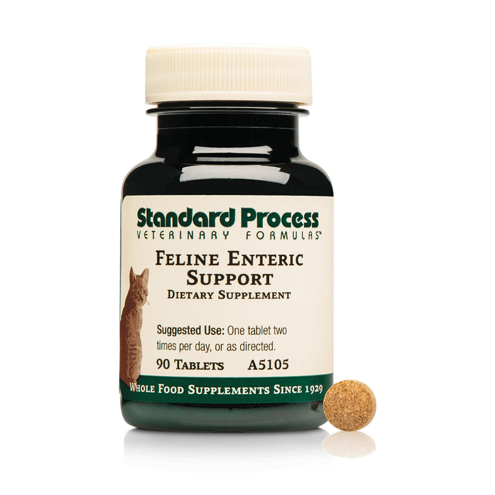 Standard Process Feline Enteric Support tablets shown for easy administration and digestive support.
