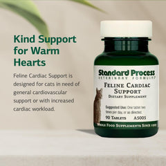 Standard Process Heart Health Cat visualization emphasizes cardiovascular support possibilities.