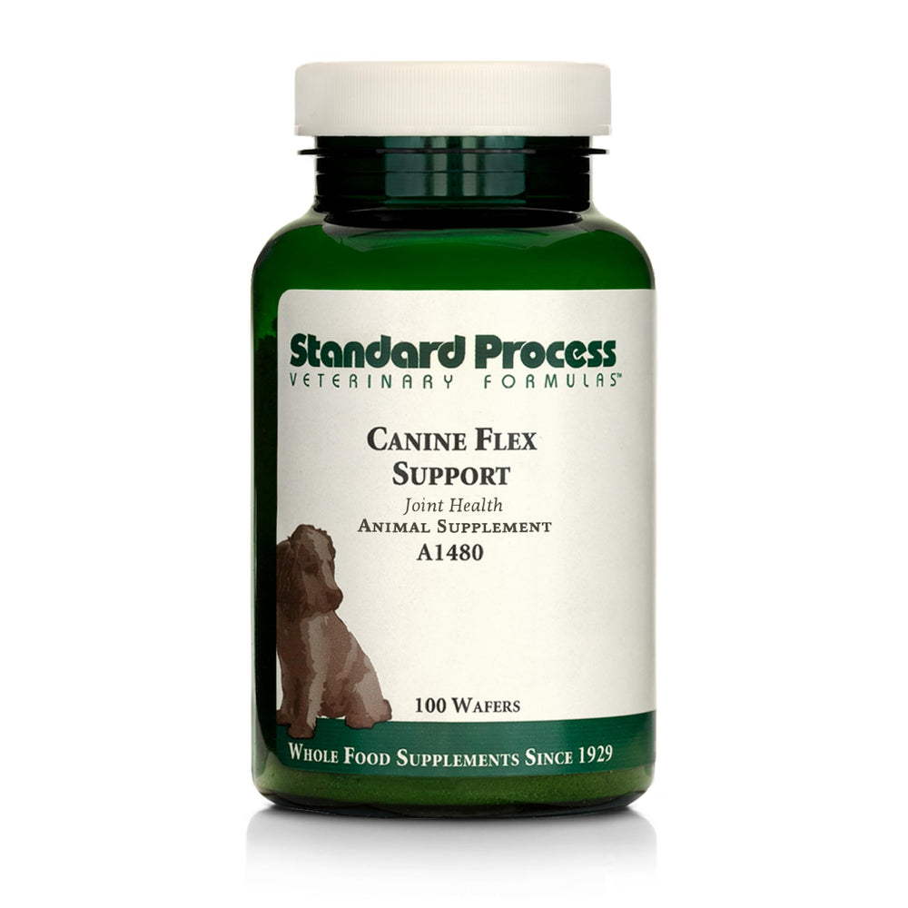 Standard Process Canine Flex Support wafers closeup for joint comfort and mobility