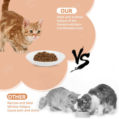 STAOVA ceramic bowls with safe glaze provide durable, lead-free meals for multiple pets.