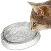 Star small kitten bowl in clear glass for easy hydration.