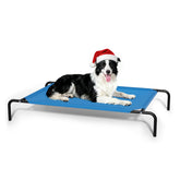 STARLATTA elevated dog bed in blue outdoors with cooling airflow for hot days
