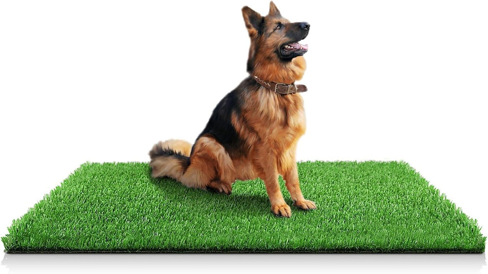 STARROAD-TIM artificial grass rug indoor-outdoor 59x39 inches for dog potty training.