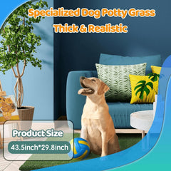 STARROAD-TIM drainage hole grass patch demonstrates quick liquid drainage for clean paws.