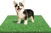 STARROAD-TIM puppy turf pad on patio supports convenient indoor potty training.