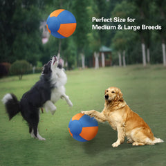 Stcohyz Herding Ball side view highlights chew-resistant exterior for daily play