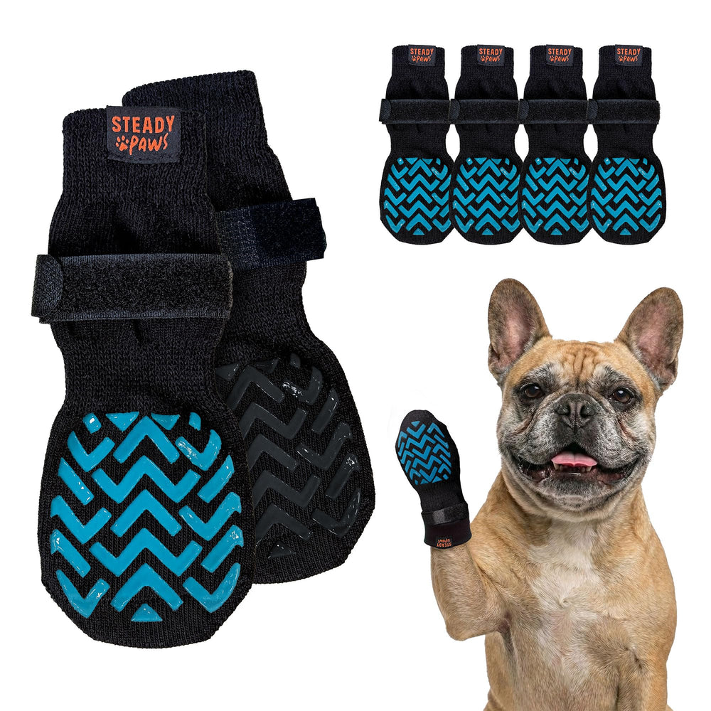 Steady Paws anti-slip dog socks pack front view showing four socks for indoor traction