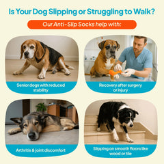Steady Paws soft breathable fabric close-up highlighting moisture-wicking material