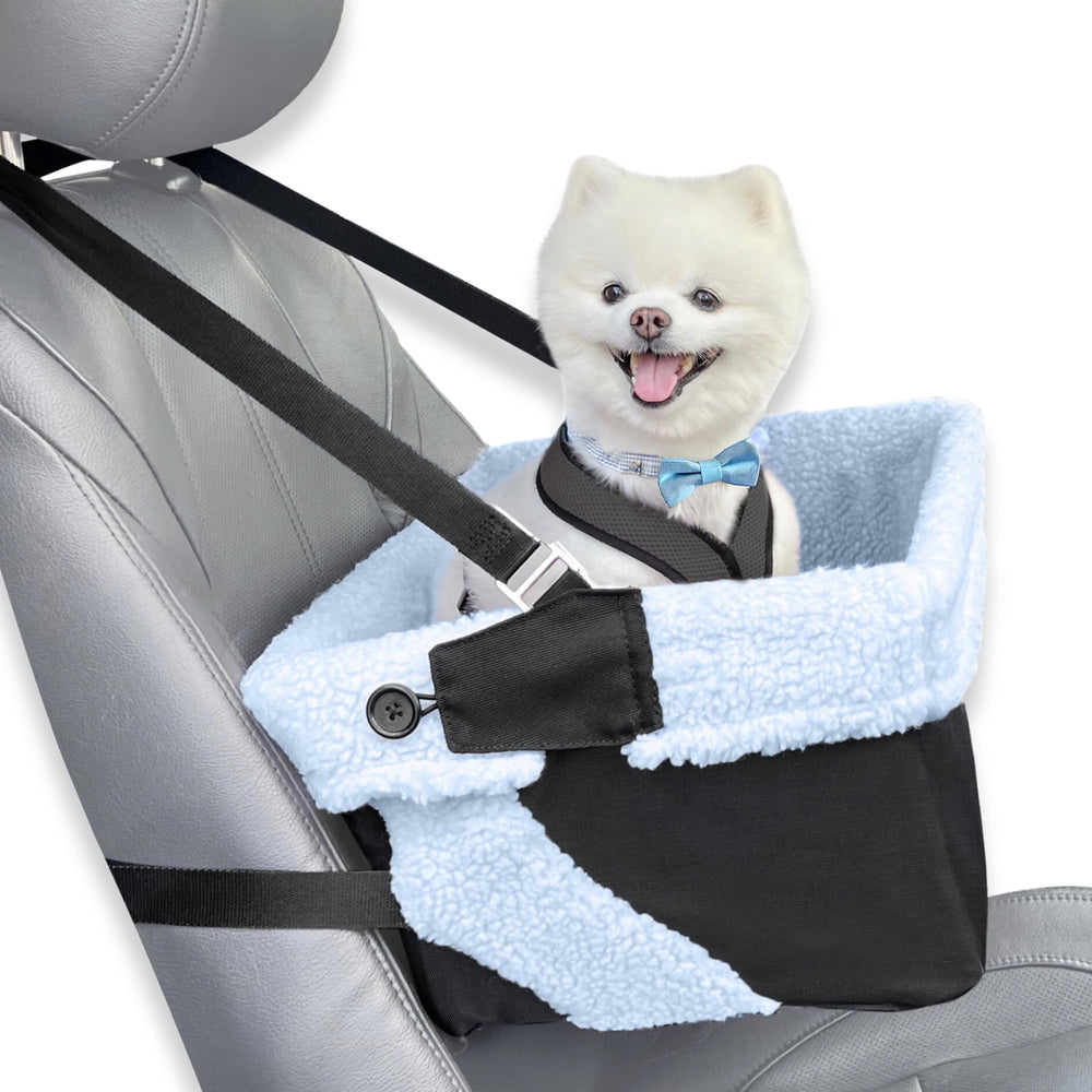 Stella and Bear blue dog booster seat full setup for car trips, secure and comfortable.