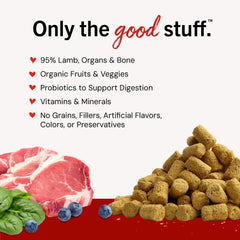 Stella & Chewy's patty closeup highlights pure lamb texture for picky eaters.