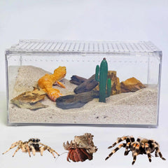 STELPAW PC reptile terrarium front view for clear observation and escape-proof design.