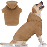 Stpiatue fuzzy dog sweater Coffee-L hoodie worn for warmth on chilly walks.