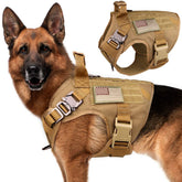 Stpiatue tactical dog harness vest front view showing padding and secure fit.