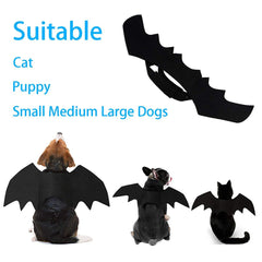 Strangefly bat wings pet costume on a large dog for bold Halloween moment