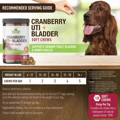Strawfield Pets Cranberry Bladder & UTI Chews ingredients bottle reveals natural components.