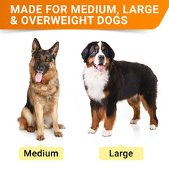 STRELLALAB advanced mobility chews soft treats boost daily joint comfort.