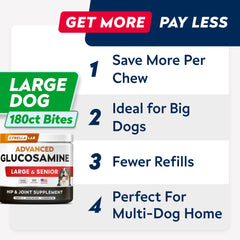 STRELLALAB Green Lipped Mussel dog chews highlight tasty joint support for mobility