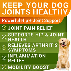 STRELLALAB Liquid Glucosamine pour bottle shows easy serving for dogs.